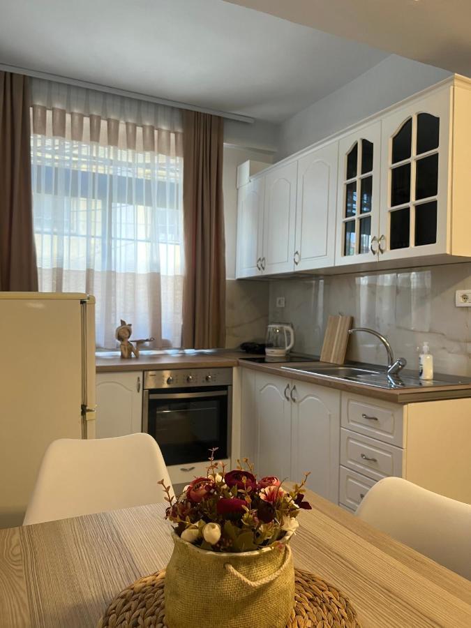 Sael Apartments Shkodër 外观 照片
